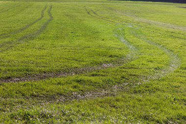 Güney Almanya'nın kırsal kırsalında traktör tarafından sıvı gübre getiriyor sonra yeşil çim