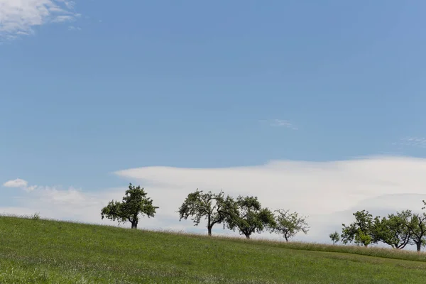 Grüne Bäume Mit Beeindruckenden Wolken Himmel — Stockfoto