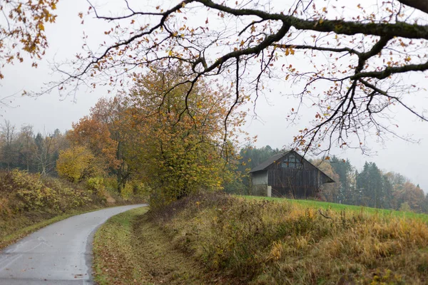 Mglisty Jesienny Drzew Liści Południe Niemiecki Wiejski Zielony Trawnik Inidan — Zdjęcie stockowe