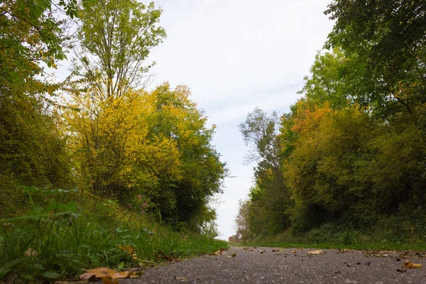 Podzimní Barvy Září Babí Léto Listí Stromy Bikeway Jižním Německu — Stock fotografie