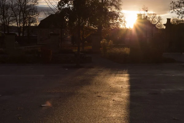 sunset in november autumn boulevard in south germany historical city near stuttgart and munich