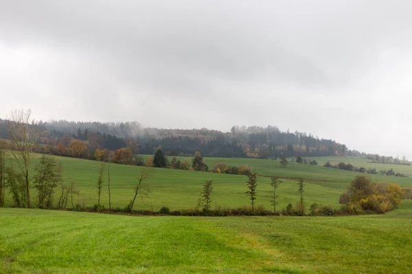 南ドイツの田舎の木やシュトゥットガルトとミュンヘンの都市の近くにバイクの横にある葉っぱの緑の芝生と Inidan 夏色で霧の秋風景 — ストック写真