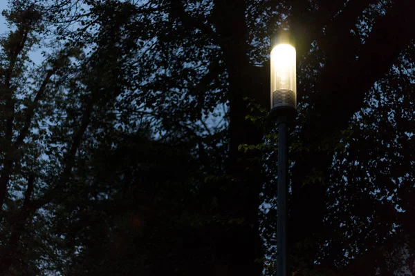 Parque Cidade Noite Com Lâmpadas Bulevar Com Árvores Alemanha Sul — Fotografia de Stock