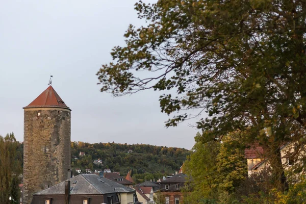 Stadtpark Oktober Monat Mit Herbstimpressionen Blätter Und Bäume Süddeutschland Der — Stockfoto