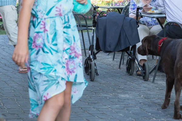 Assis Dans Café Près Parc Été Dans Ville Romantique Sud — Photo