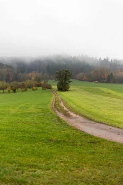 Neblige Herbstlandschaft Süddeutschen Raum Mit Grünem Rasen Und Inidansommerlichen Farben — Stockfoto