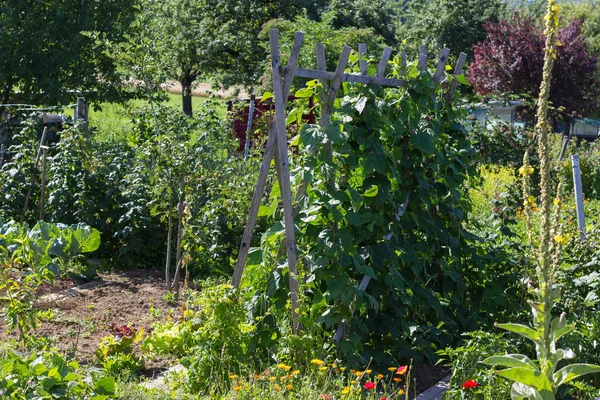 Mycket Solig Dag Juni Södra Tyskland Detaljer Och Färger Stuga — Stockfoto