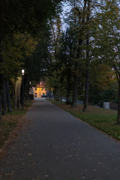 ランプと夜とで カ月で南ドイツの木と大通り公園秋シーズン — ストック写真