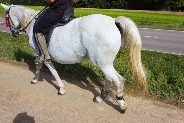 Duas Senhoras Equitação Cavalo Dia Ensolarado Setembro Sul Alemanha Rural — Fotografia de Stock