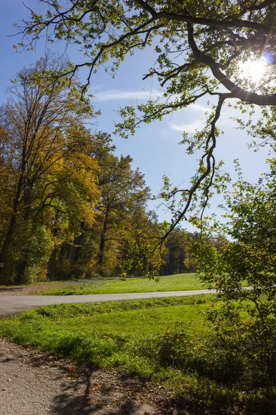 Podzimní Les Babí Léto Barvy Jižním Německu Krajině Nedaleko Mnichova — Stock fotografie