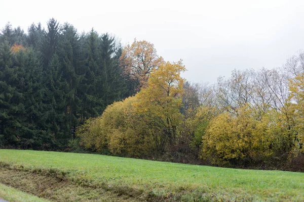 南ドイツの田舎の木やシュトゥットガルトとミュンヘンの都市の近くにバイクの横にある葉っぱの緑の芝生と Inidan 夏色で霧の秋風景 — ストック写真