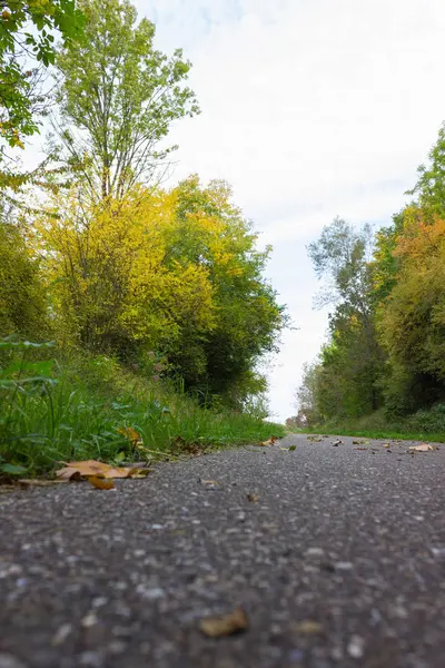 Autunno Settembre Estate Indiana Colori Foglie Alberi Una Pista Ciclabile — Foto Stock