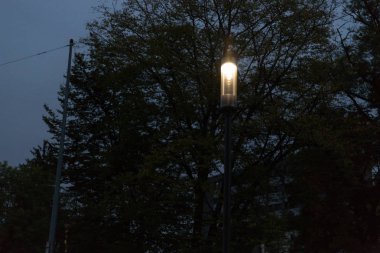 Şehir Parkı gece lambaları ve boulevard Ekim ayında Güney Almanya'da ağaçları ile sonbahar sezon