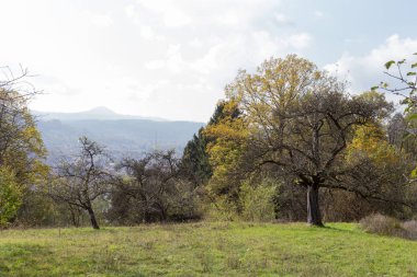 Peyzaj ve ağaçların meyveleri ve Güney Almanya Münih şehri yakınlarında güneşli bir günde ve stuttgart Kasım, sonbaharda yaprakları ile