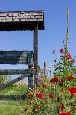 çok güneşli Güney Almanya'da Temmuzda ayrıntıları ve renkleri yazlık ülke çiçek çiftlik evi Bahçe ambiyans Güney gökyüzünün kırmızı ve pembe ve mavi renk ile dolu görmek