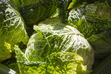 Temmuz ayında Güney Almanya gördüğünüz stand sebze soğan, salata, havuç ve daha fazla tür bir şehir sokak piyasada çok güneşli bir günde