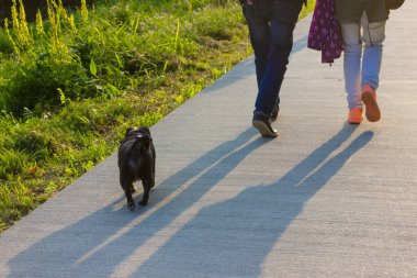 bira bahçesi ve park Güney Almanya tatil gezisinde adlandırılmış adelheid Almanca Pug mops