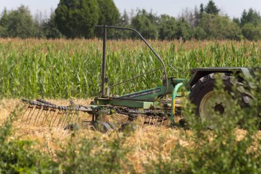 saman üzerinde yaz Güney Almanya kırsal Mısır tarlasında haying traktör
