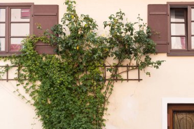 Bavyera bir tarihi şehir Güney Almanya'da yaz, binalar ve evler kapılar ve pencereler ve dermatit gibi yeşil bitkiler ile bakın
