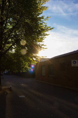 akşam Güney Almanya günbatımı ağaç kaplı orman çim yolu üzerinde