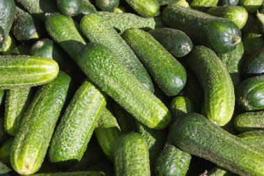 Temmuz ayında Güney Almanya gördüğünüz stand sebze soğan, salata, havuç ve daha fazla tür bir şehir sokak piyasada çok güneşli bir günde