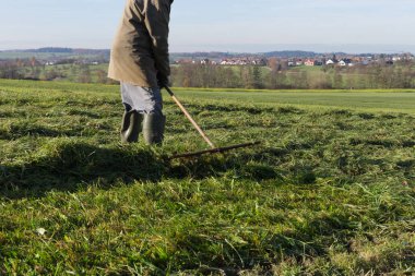çim sonbahar Kasım güneşli bir günde Münih ve stuttgart yakınındaki Güney Alman kırsalında yan yatan yaşlı çiftçi