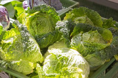 Temmuz ayında Güney Almanya gördüğünüz stand sebze soğan, salata, havuç ve daha fazla tür bir şehir sokak piyasada çok güneşli bir günde