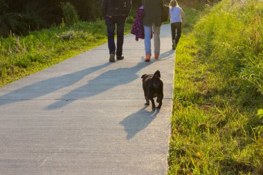 bira bahçesi ve park Güney Almanya tatil gezisinde adlandırılmış adelheid Almanca Pug mops