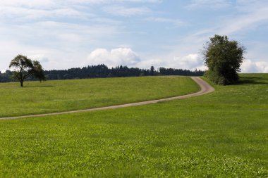 Temmuz yaz sıcağında güneye Alman kırsal kırsal Mısır tarlasında