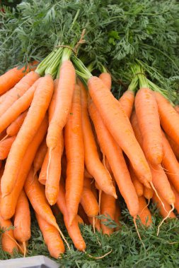 Temmuz ayında Güney Almanya gördüğünüz stand sebze soğan, salata, havuç ve daha fazla tür bir şehir sokak piyasada çok güneşli bir günde