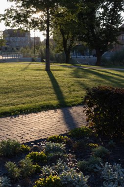 çiçekler ve ağaçlar şehirde Güney Almanya stuttgart yakınındaki yaz ay Ağustos, sabah güneş bir şehir park