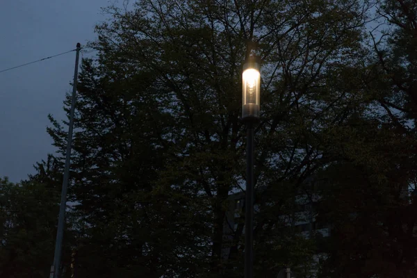 Parque Cidade Noite Com Lâmpadas Bulevar Com Árvores Alemanha Sul — Fotografia de Stock