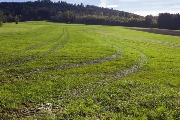 Grüner Rasen Nach Dem Ausbringen Von Gülle Mit Dem Traktor — Stockfoto