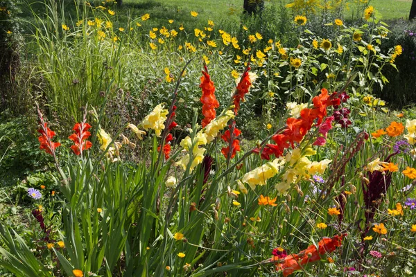 在8月的一个阳光明媚的日子里 在斯图加特和慕尼黑市附近的一个阳光明媚的日子里 广角地看着德国南部的乡村五颜六色的花朵 — 图库照片