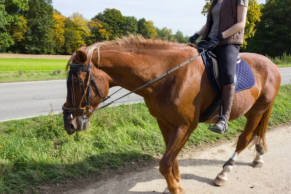 月の晴れた日にシュトゥットガルトとミュンヘンの近くの南ドイツの田舎で馬に乗って 人の女性 — ストック写真