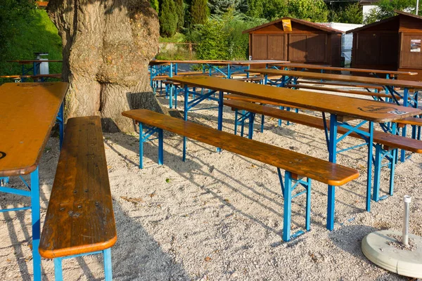beer garden bench table and umbrella below big oak tree on a summer holiday evening before sunset in south germany