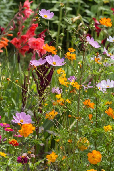 Een Zeer Zonnige Dag Juni Zuid Duitsland Zie Details Kleuren — Stockfoto