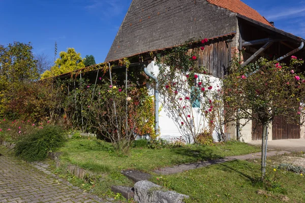 Stuga Arkitektur Brittsommar Månad Oktober Med Höstfärger Rosor Rankning Fasader — Stockfoto