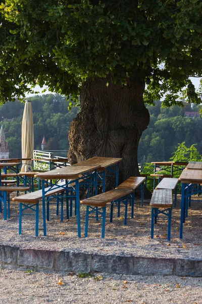 beer garden bench table and umbrella below big oak tree on a summer holiday evening before sunset in south germany