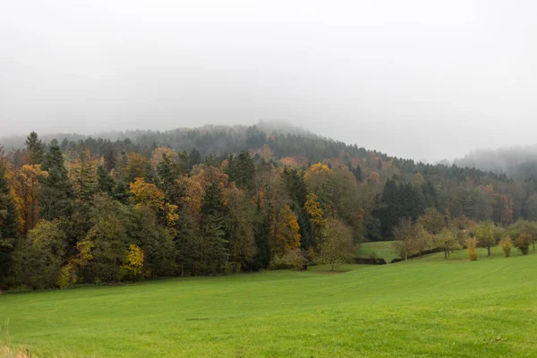 Niebla Paisaje Otoñal Campiña Del Sur Alemania Con Césped Verde —  Fotos de Stock