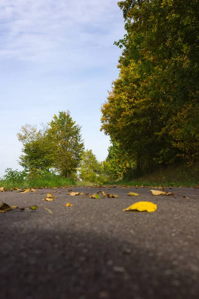 Осень Сентябрь Индийские Летние Цвета Листьев Деревьев Велосипедной Дорожке Южной — стоковое фото