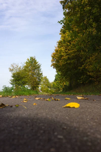 Podzimní Barvy Září Babí Léto Listí Stromy Bikeway Jižním Německu — Stock fotografie