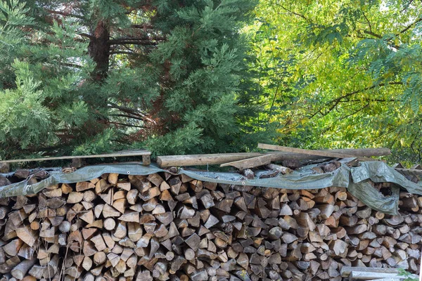 Mycket Solig Dag September Södra Tyskland Hösten Månad Ser Detaljer — Stockfoto