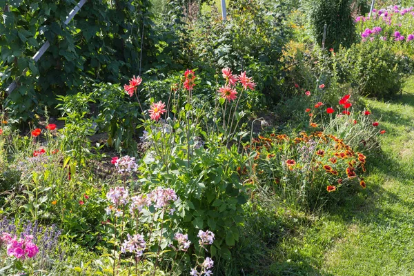 Ogród Wiejski Domek Gorący Letni Dzień Lipca Południowych Niemczech Pobliżu — Zdjęcie stockowe