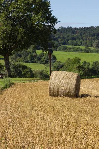 Straw Bale Stubblefield South German Landscape Summer Month August Stuttgart — Stock Photo, Image