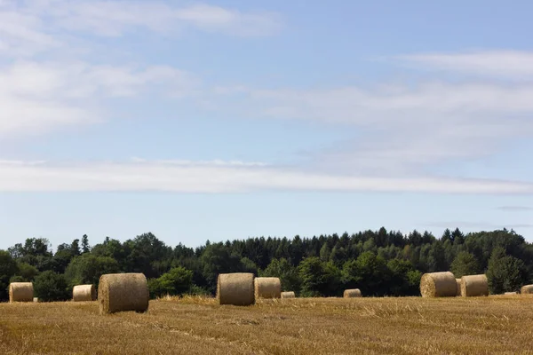 Straw Bale Stubblefield South German Landscape Summer Month August Stuttgart — Stock Photo, Image