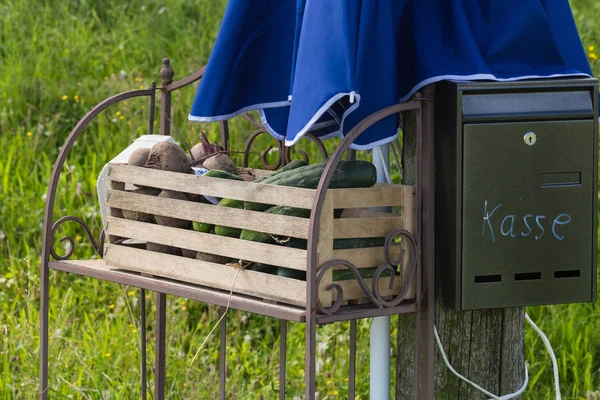 Kiosk Grön Gräsmatta Cottage Garden Med Blå Paraply Landsbygden Solig — Stockfoto