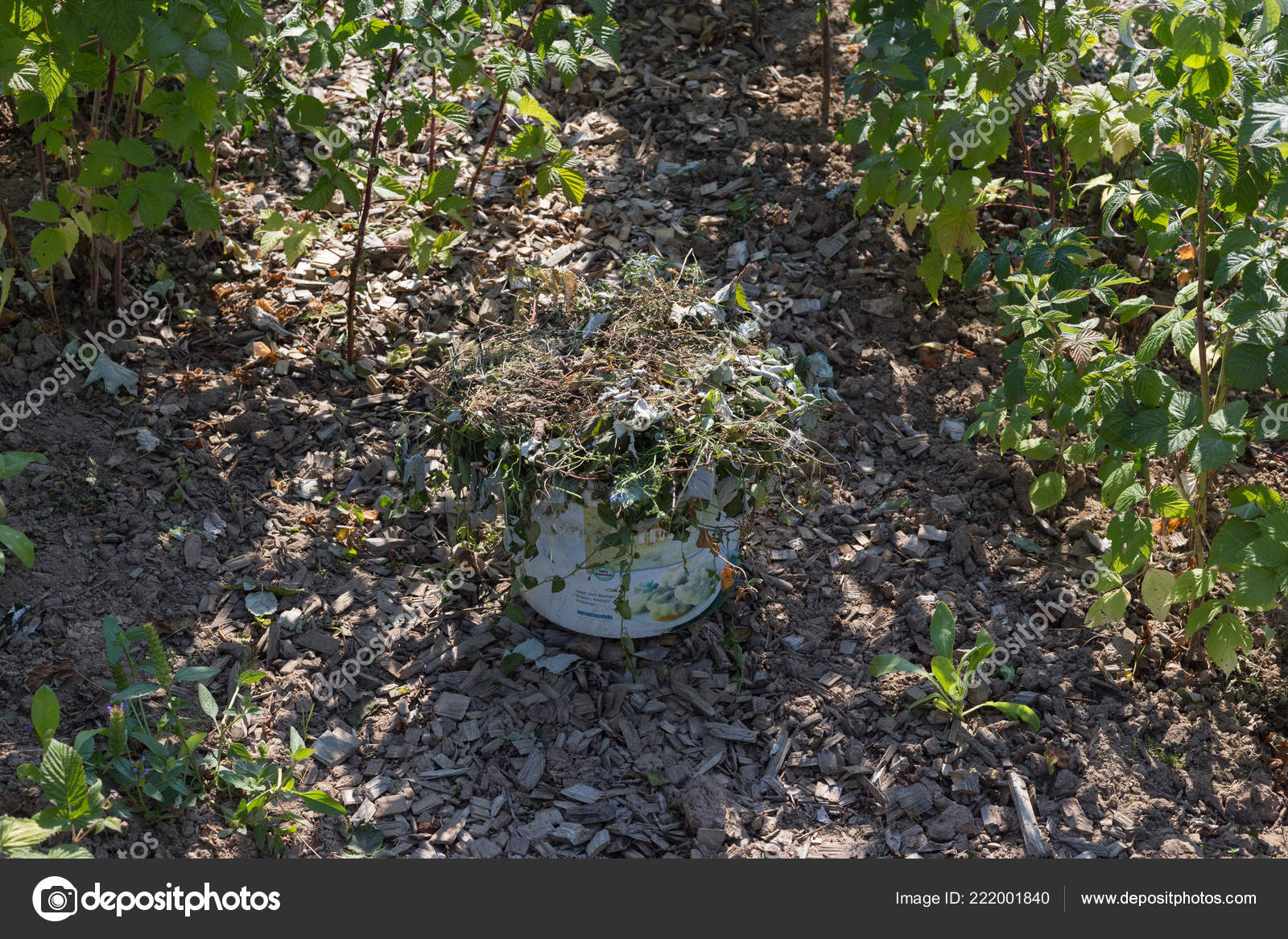 Einem Heissen Sommertag Einem Cottage Garten Verschiedene Hutten Und Kleine Stockfoto C Rudolfgeiger 222001840