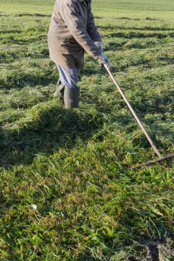 çim sonbahar Kasım güneşli bir günde Münih ve stuttgart yakınındaki Güney Alman kırsalında yan yatan yaşlı çiftçi