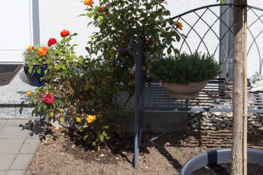 Güney Almanya kırsal ev bahçe dekorasyon.